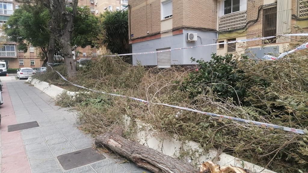 Two people were injured in Malaga province and a beach bar in Fuengirola was flattened. 