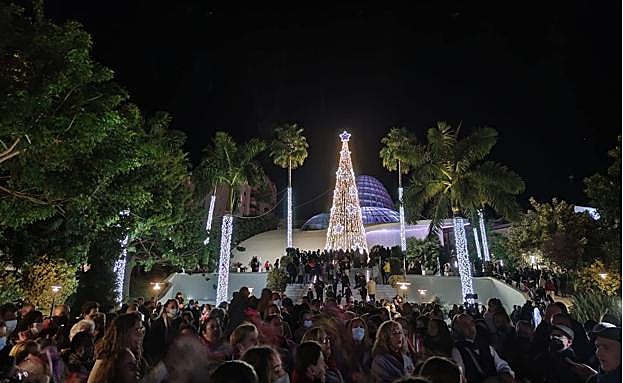 The switching-on ceremony at the orchid house.