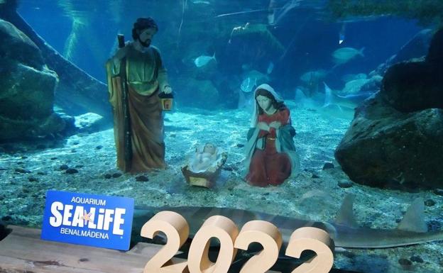 Imagen principal - There are many different types of Nativity scenes. 