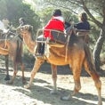 Imagen - In Doñana visitors walk among dunes on the back of camels, enjoying the fantastic landscape, where the cinnamon sand is framed by blue ocean and green pine-trees