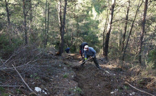 Conservation work in the Sierra de las Nieves 
