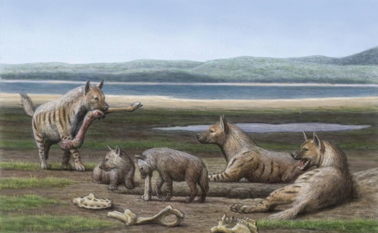 Illustration of the site 