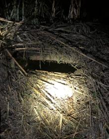 Imagen secundaria 2 - Teenager rescued from well in Estepona after telling searchers “I have water up to my neck and I don&#039;t know where I am”