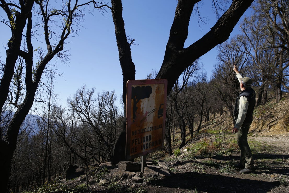 More than 9,000 hectares of woodland were destroyed by last year's fire. A visit to the area, six months later, shows how nature is starting to make a recovery in the Genal Valley