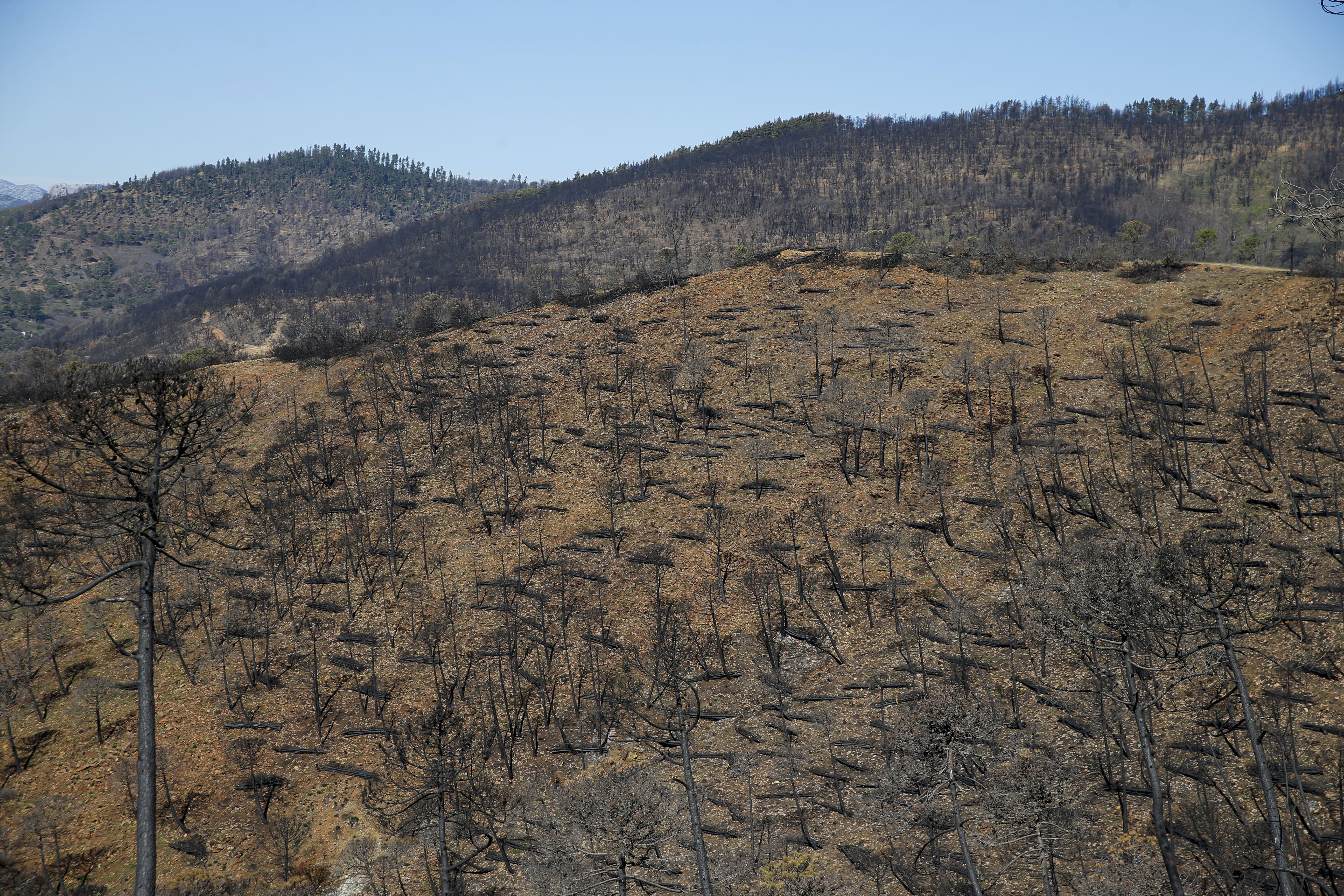 More than 9,000 hectares of woodland were destroyed by last year's fire. A visit to the area, six months later, shows how nature is starting to make a recovery in the Genal Valley