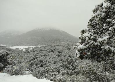 Imagen secundaria 1 - The scene near Parauta in the Serranía de Ronda. 