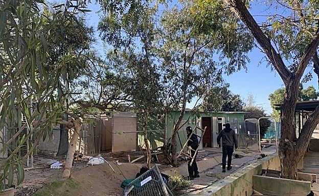 Imagen principal - Triple A animal shelter gets makeover for 30th birthday