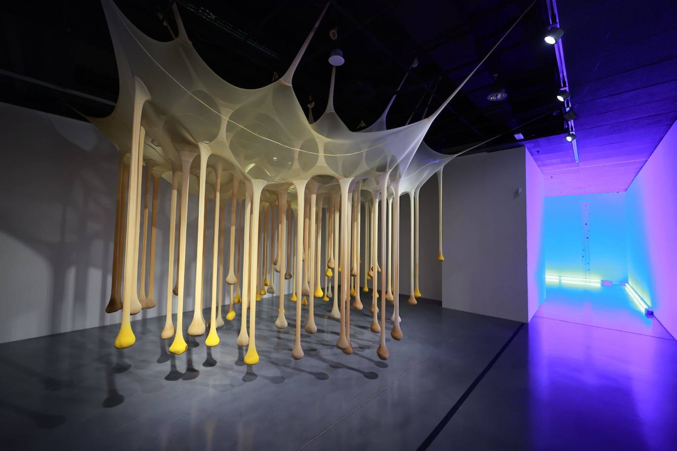 The centre's semi-permanent exhibition has been completely renewed.