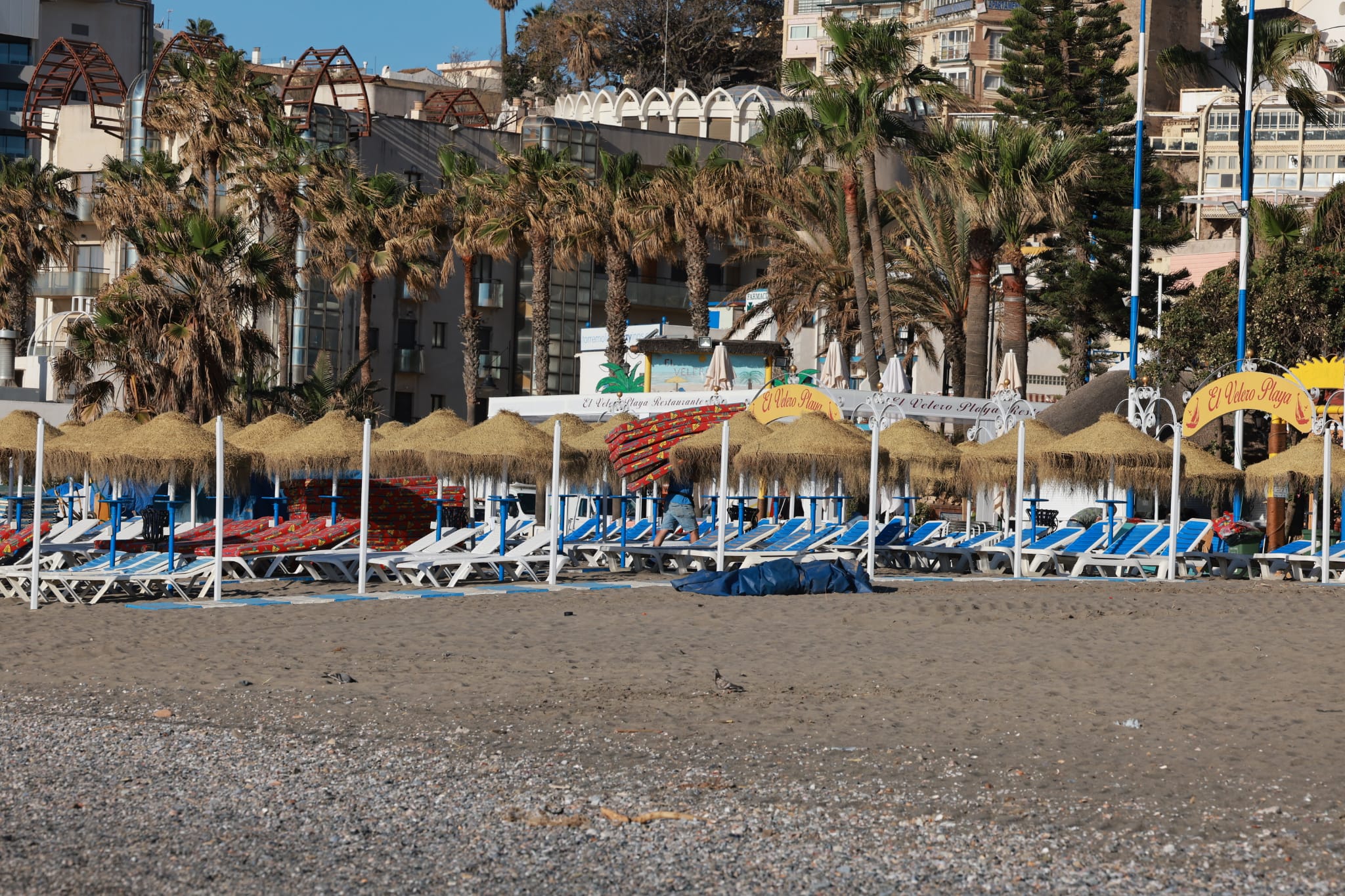 Working against the clock on the Huelin and La Malagueta beaches in Malaga city, and also on the beaches of Torremolinos