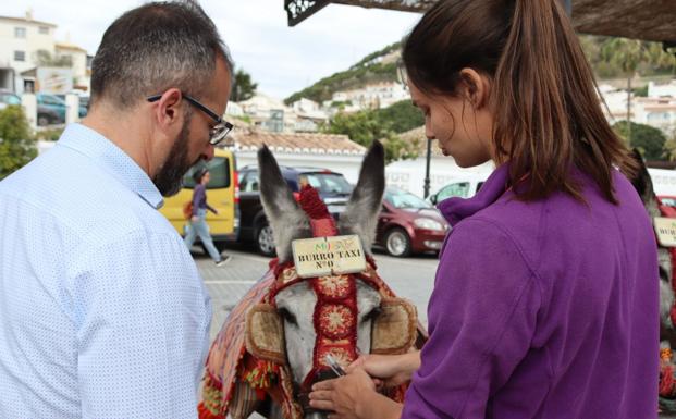British-run organisation ensures welfare of Mijas donkey taxis