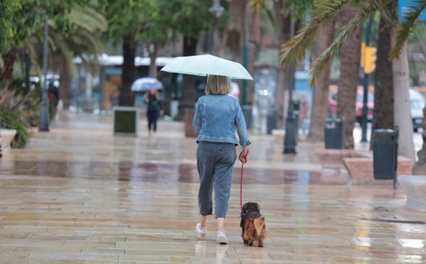 The rain returns to Malaga province this Tuesday, with two yellow warnings in place for storms