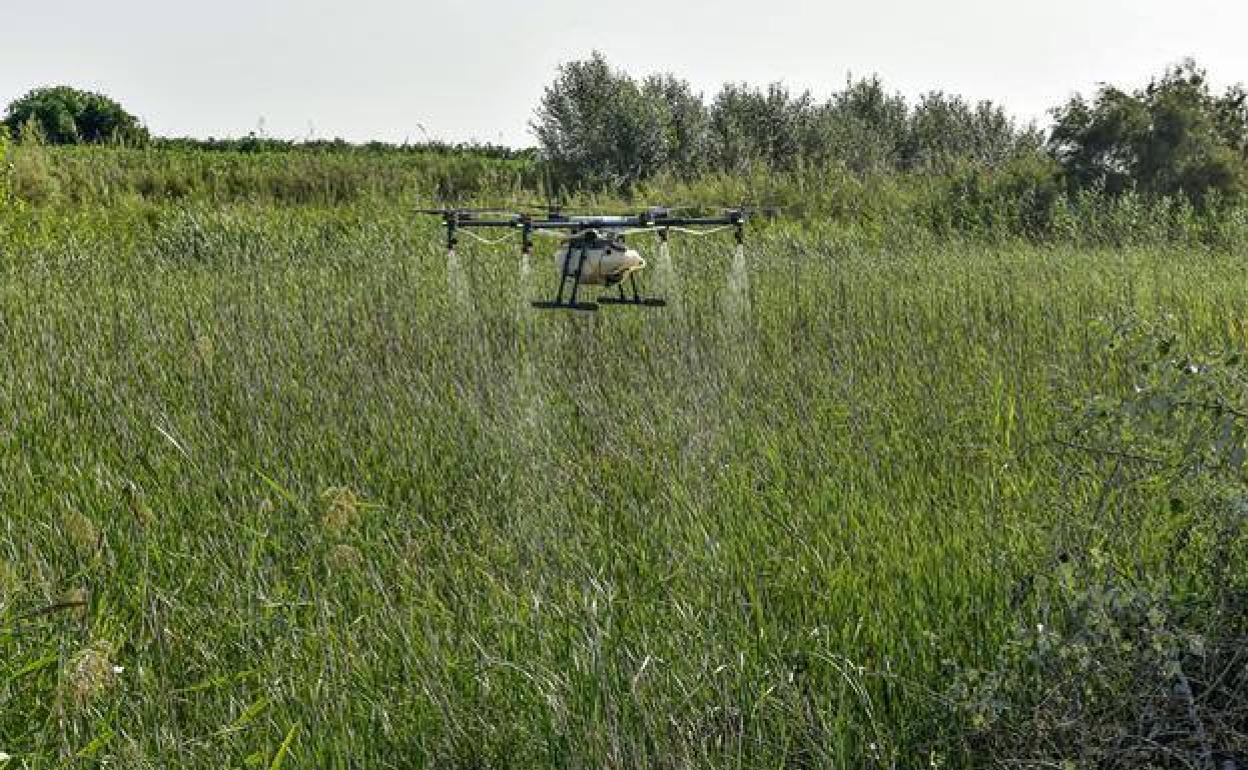Drones are used to fumigate areas with large mosquito populations 