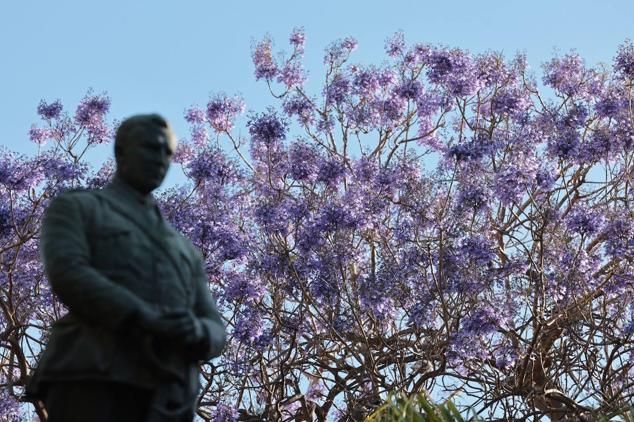 Explosion of colours and scents in Malaga's parks and gardens. 