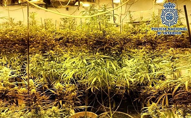 One of the greenhouses in Torre del Mar.