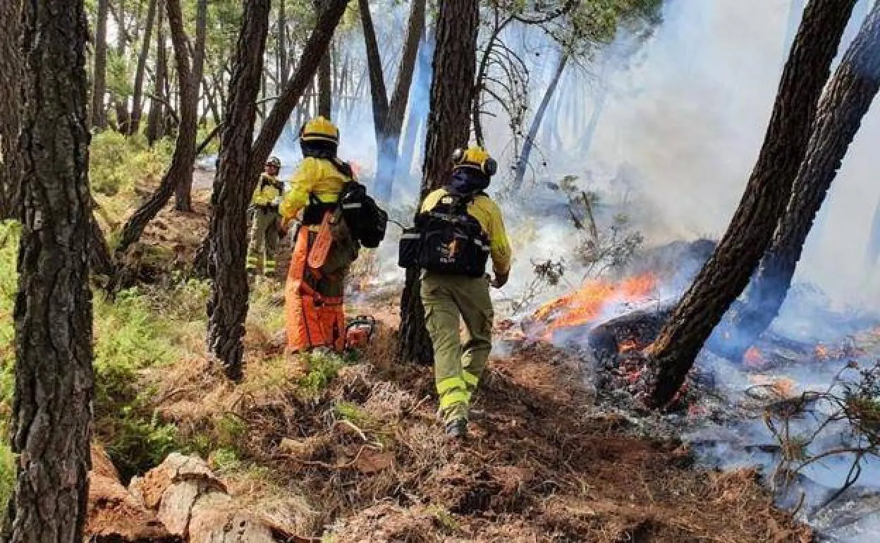 Forest fire fighters at the Jubrique blaze last summer. 