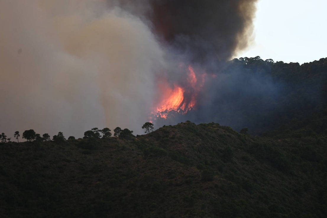The flames were visible from several points in Malaga province.