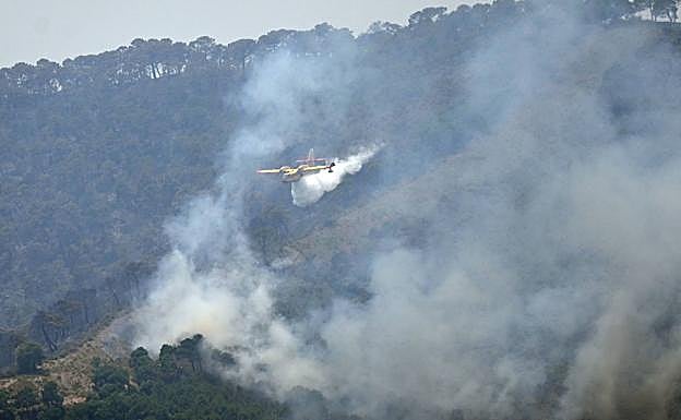 High winds complicate the control of the Pujerra forest fire