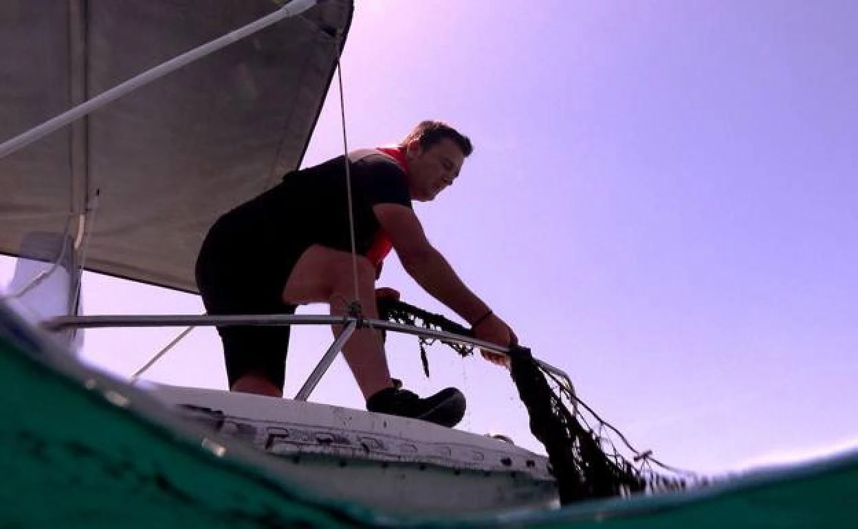 Divers went straight back down to remove the net because it posed a risk to people and marine life 