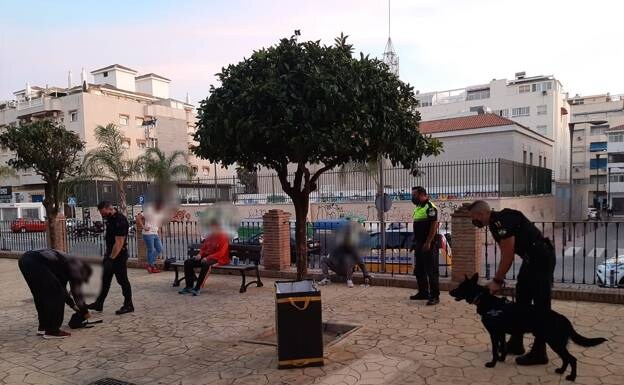 Meet Locky, top dog at Rincón de la Victoria&#039;s local police force