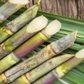 Imagen - There is a less known method in which it ferments a concentrated syrup called sugarcane honey, like the local miel de caña de Frigiliana