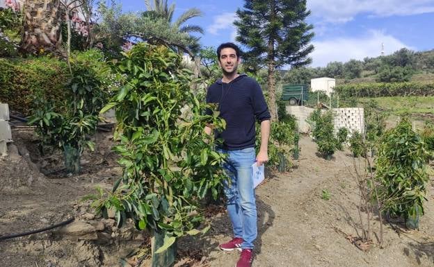 Axarquía company develops underground irrigation system that saves up to 70 per cent of water