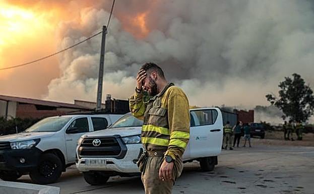 A firefighter in tears in the vicinity of the Losacio fire 