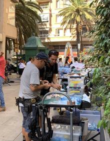 Imagen secundaria 2 - There was quite a bit of Kaos in Malaga city centre at the weekend