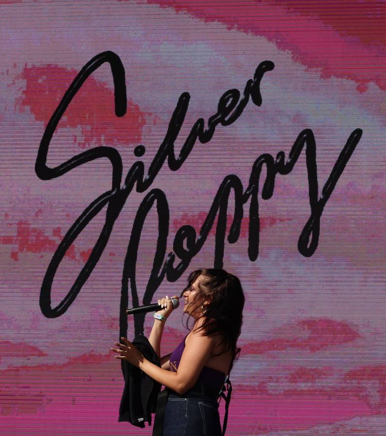 Silverpoppy on Saturday