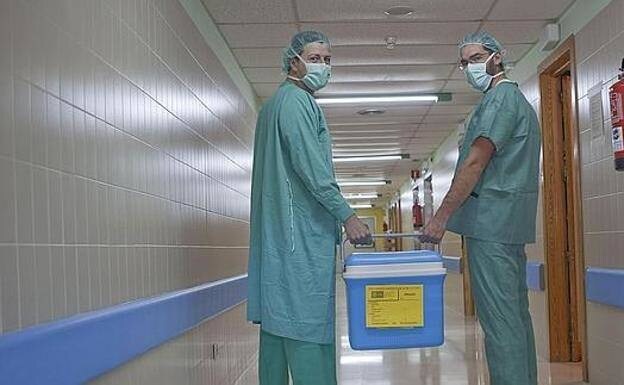 Staff at a hospital in Granada transport an organ donated for transplanting. 