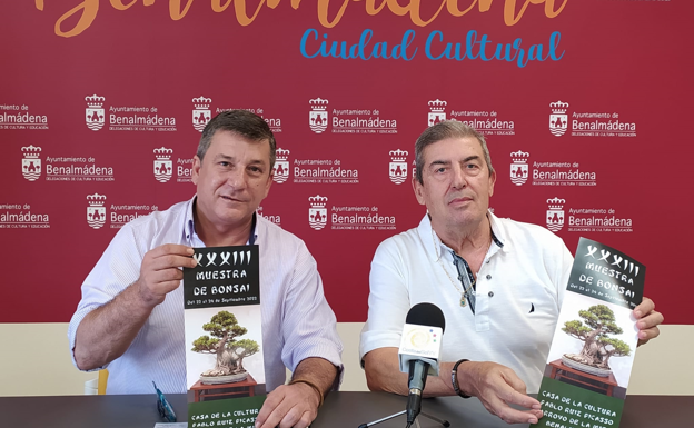 Benalmádena hosts 23rd bonsai exhibition