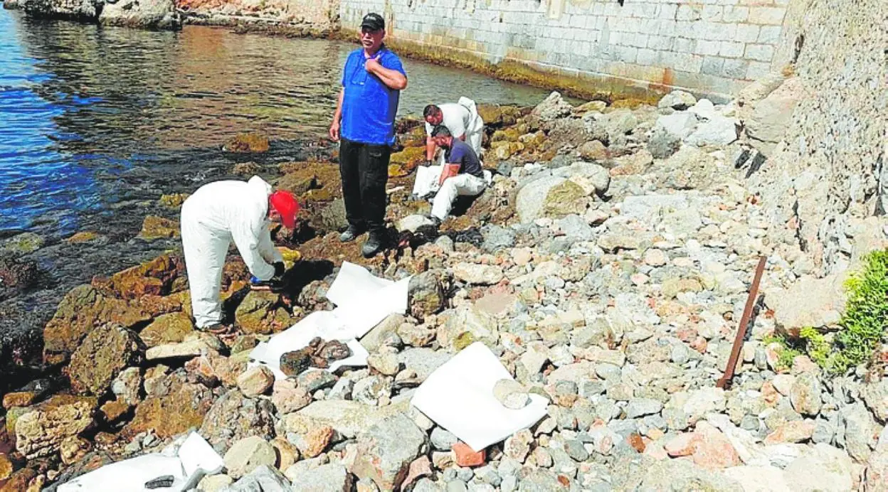 Affected beaches have been cleaned of oil by hand. 