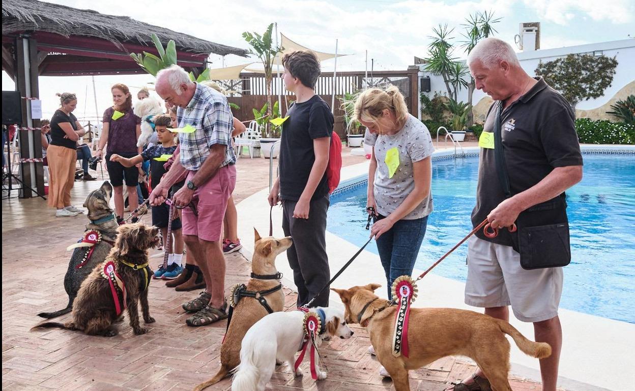 Dogs take centre stage at the Benajarafe show this weekend