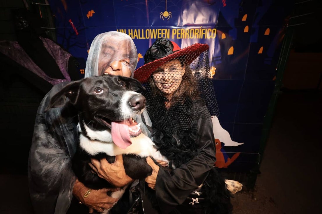 Halloween with pets in Guadalmar.