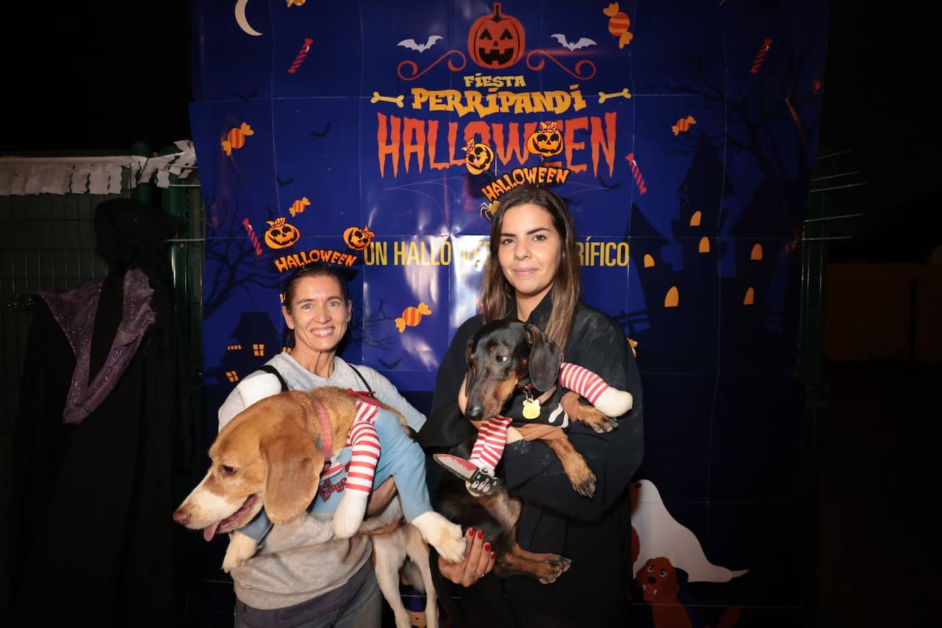 Halloween with pets in Guadalmar.