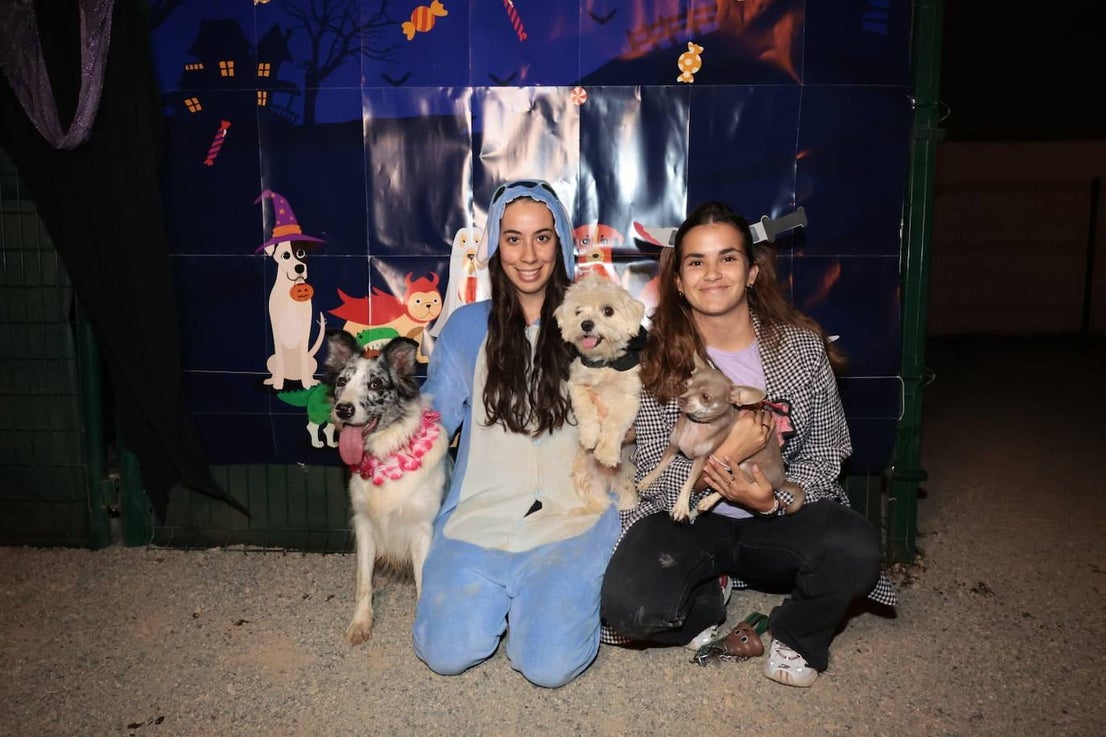 Halloween with pets in Guadalmar.