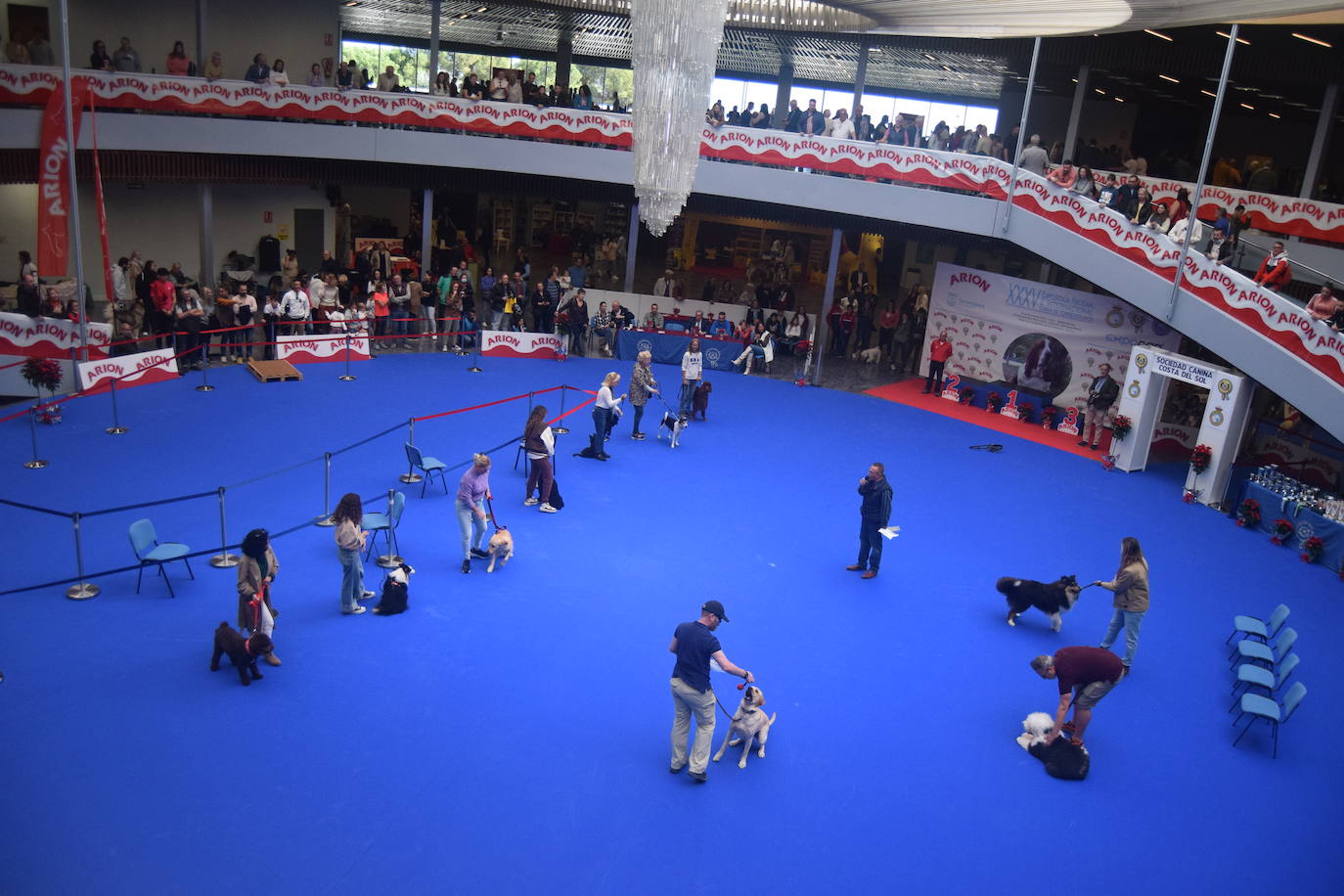 Expocan is one of the longest-running dog shows Andalucía and is organised by the Canine Society of the Costa del Sol