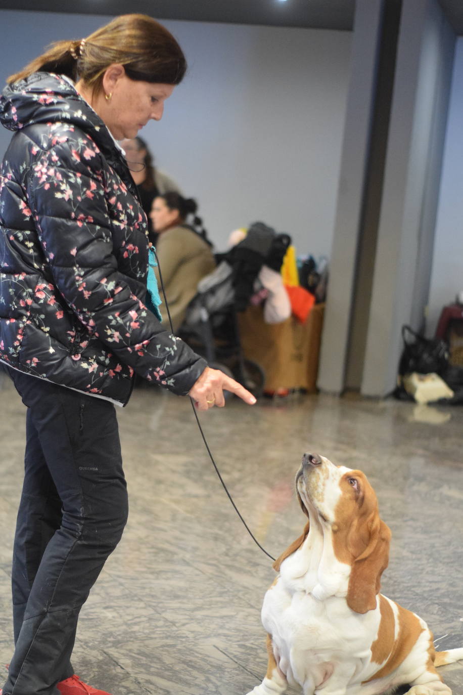 Expocan is one of the longest-running dog shows Andalucía and is organised by the Canine Society of the Costa del Sol