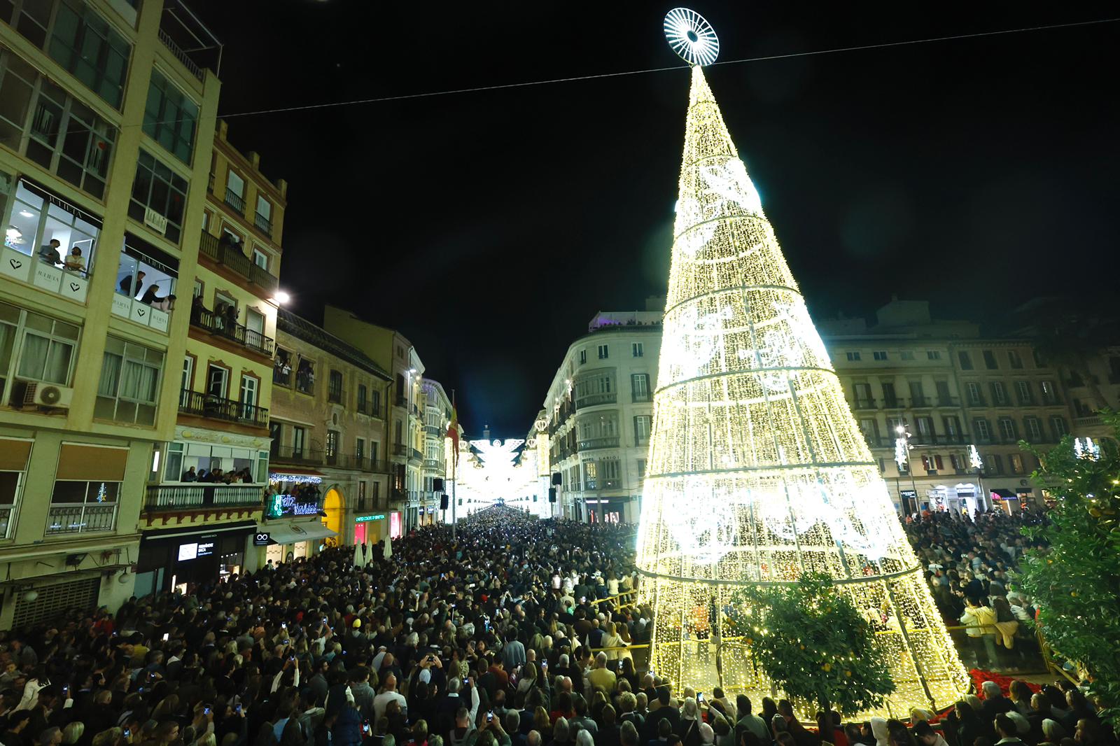 Christmas lights in Malaga city centre.