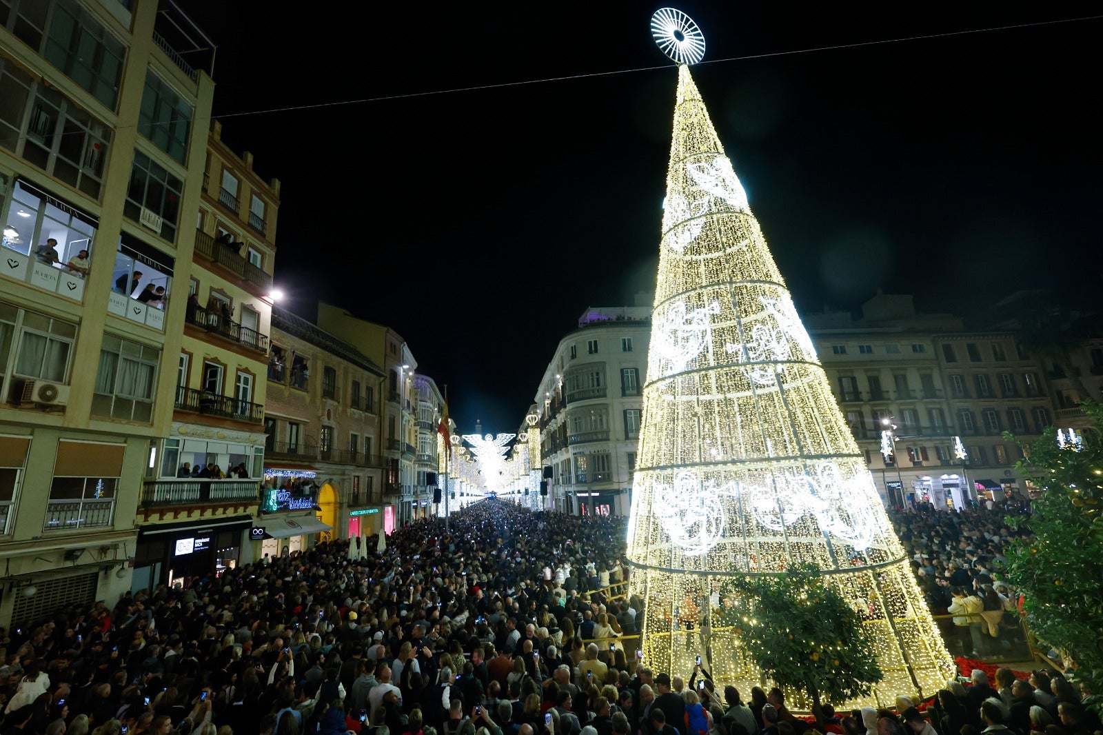 Christmas lights in Malaga city centre.