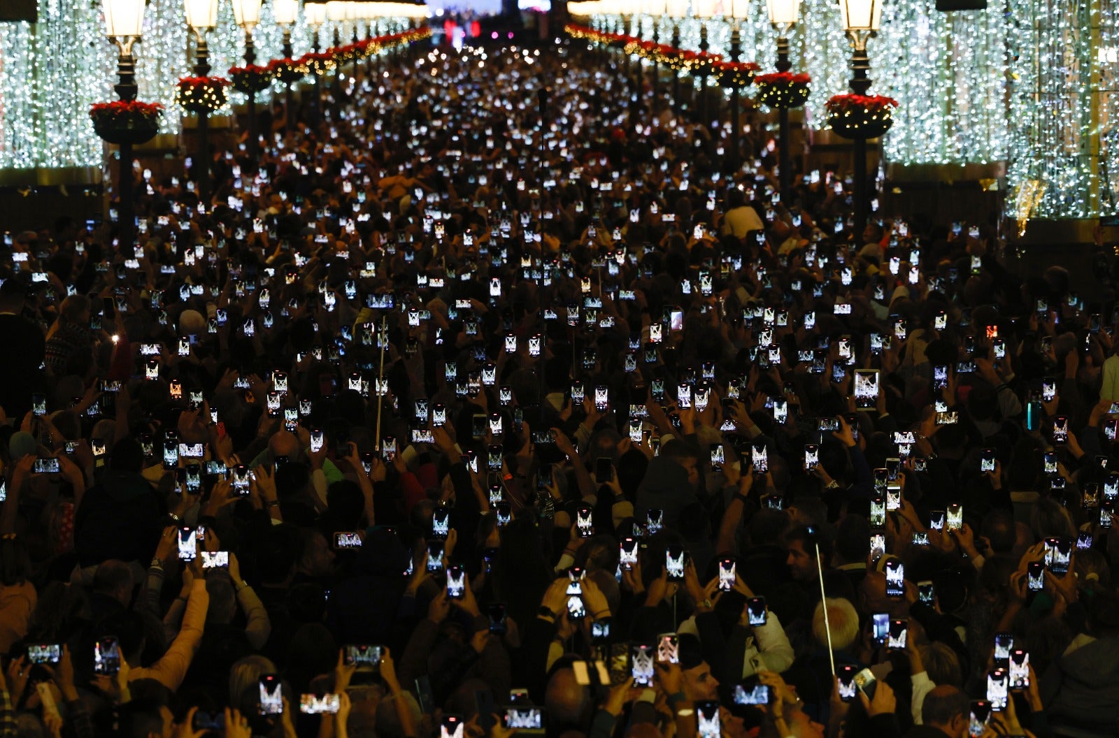 Christmas lights in Malaga city centre.