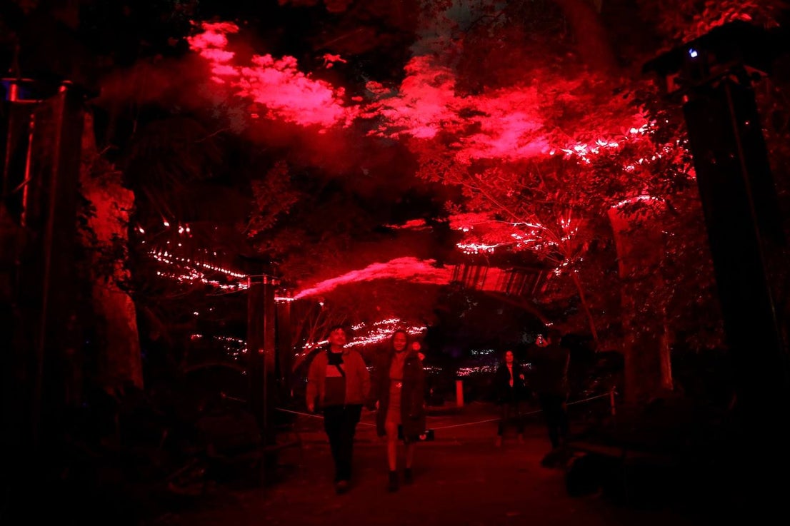 The Journey of the Star from the East, the new festive spectacular at Malaga's La Concepción botanical garden, can be visited until 8 January 2023. 