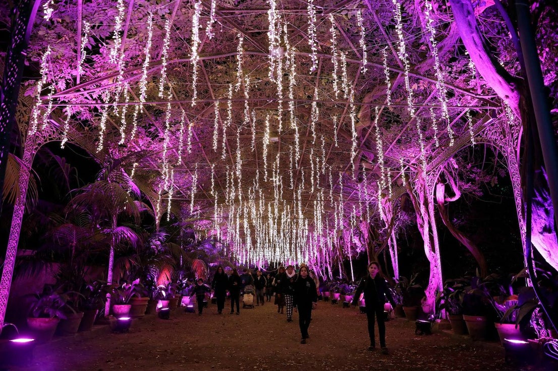 The Journey of the Star from the East, the new festive spectacular at Malaga's La Concepción botanical garden, can be visited until 8 January 2023. 