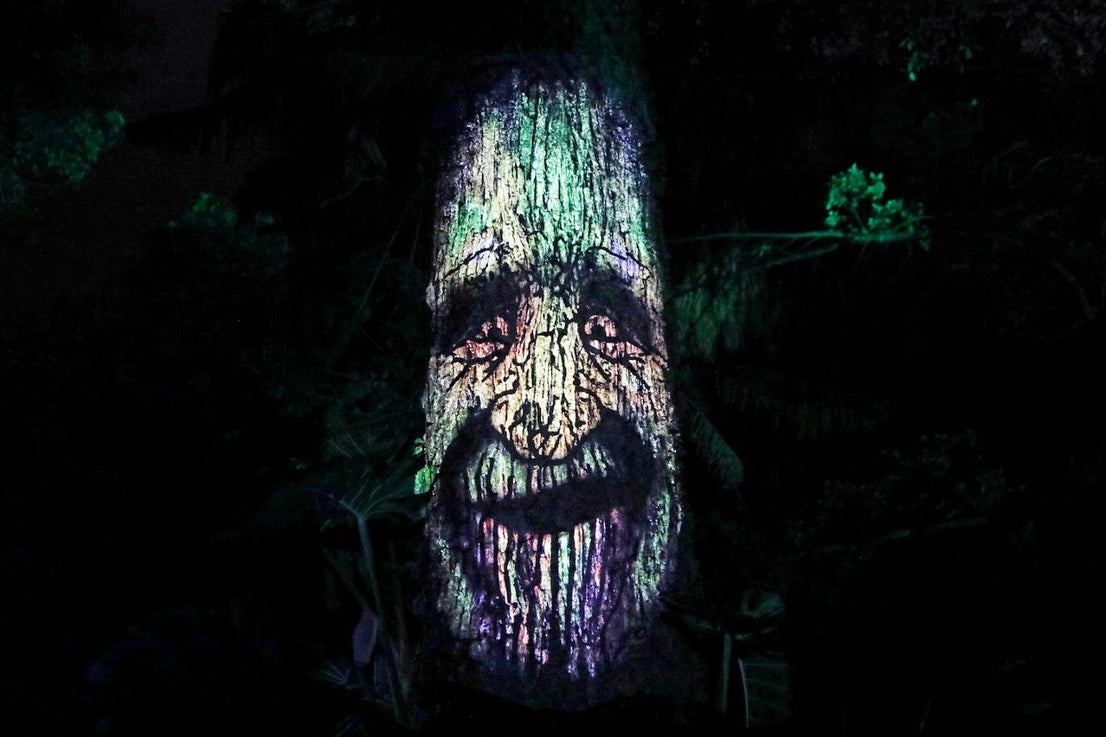 The Journey of the Star from the East, the new festive spectacular at Malaga's La Concepción botanical garden, can be visited until 8 January 2023.