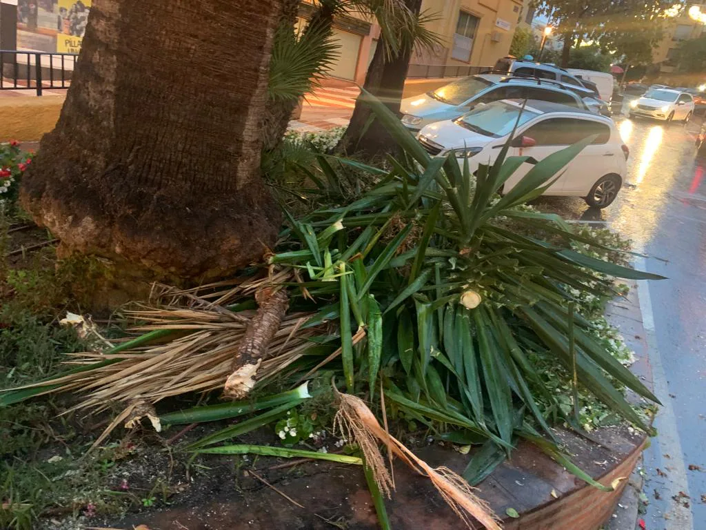 Some of the damage caused by the tornado this Monday afternoon in Marbella.