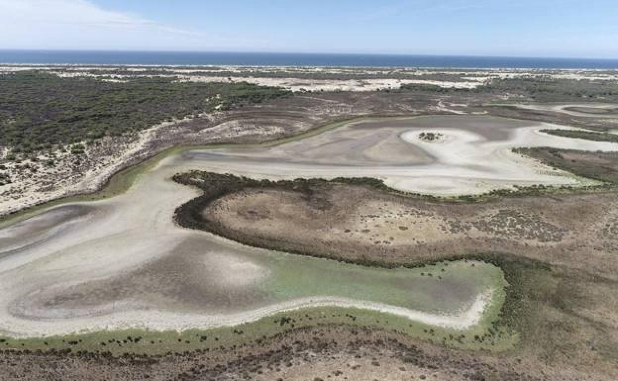Doñana water crisis