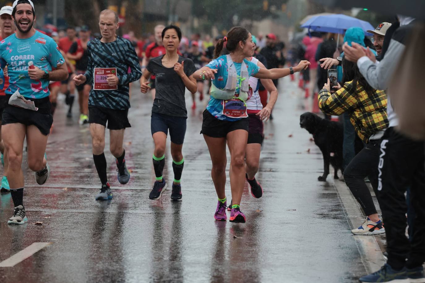 Runners in the Generali Malaga Marathon race on Sunday, 11 December 2022