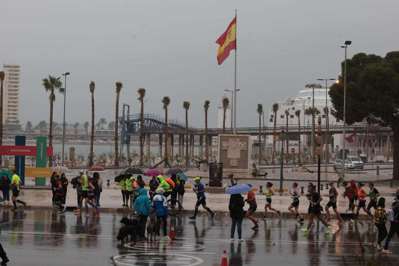 Runners in the Generali Malaga Marathon race on Sunday, 11 December 2022