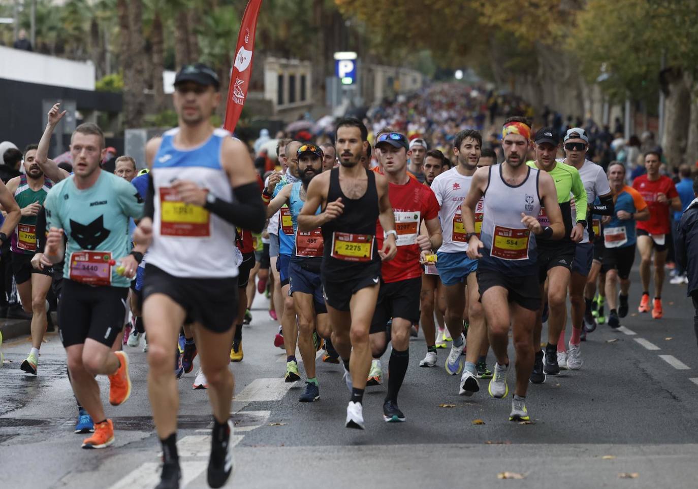 Runners in the Generali Malaga Marathon race on Sunday, 11 December 2022
