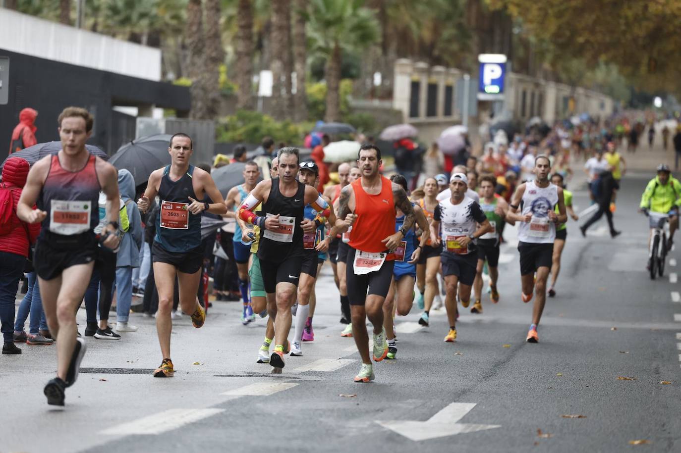 Runners in the Generali Malaga Marathon race on Sunday, 11 December 2022
