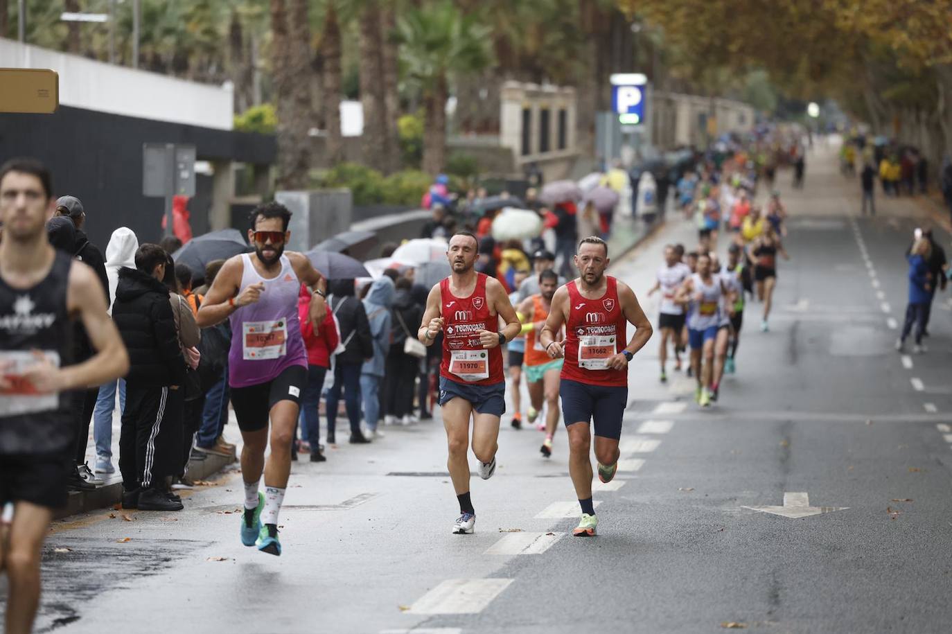 Runners in the Generali Malaga Marathon race on Sunday, 11 December 2022